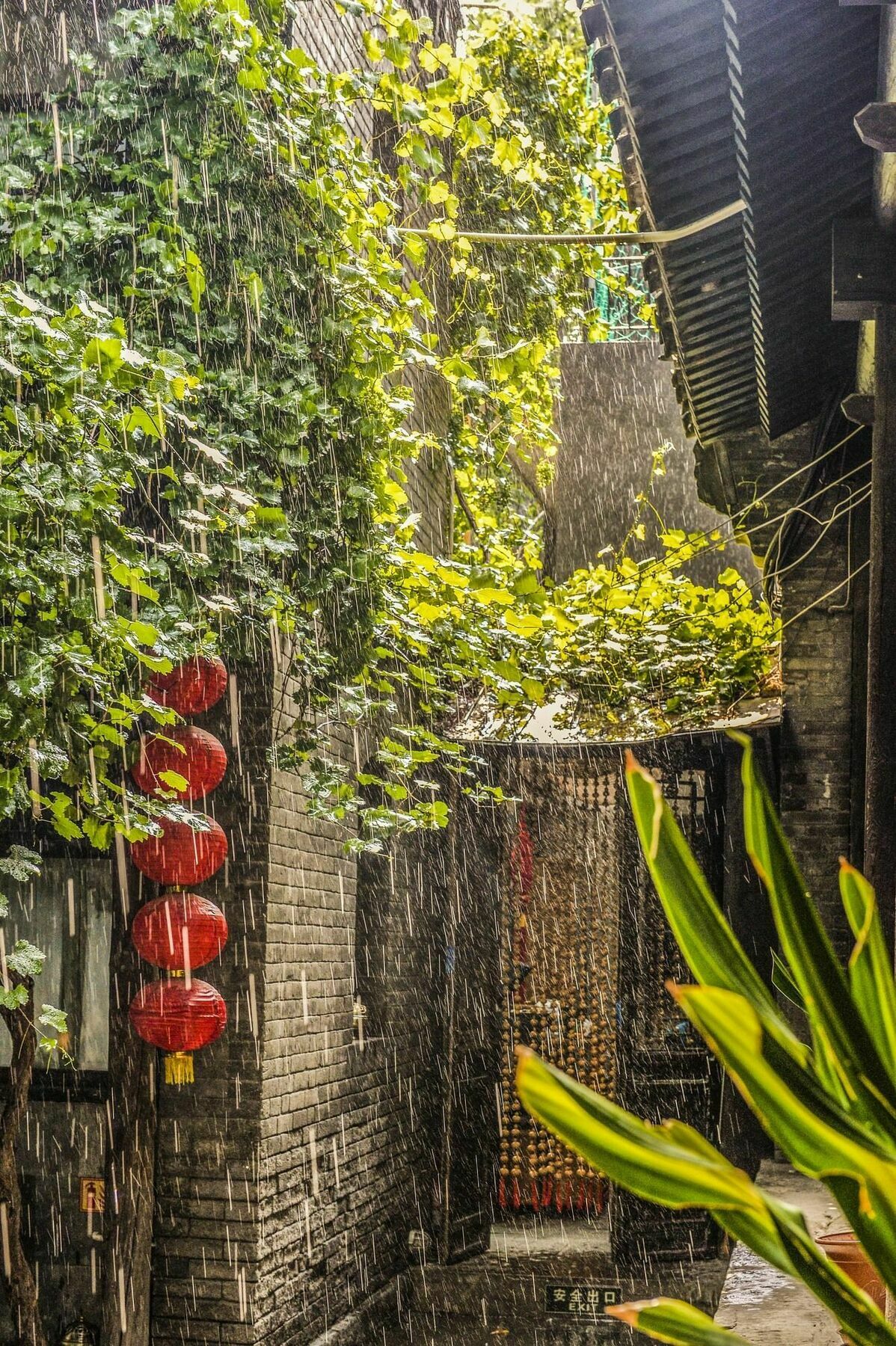龙珠堂精品四合院酒店（天安门店） 北京 外观 照片